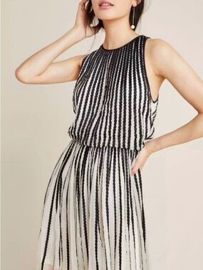 Anthropologie Black and White Striped Dress